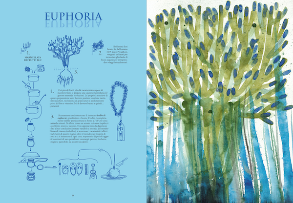 BOTANICA FANTASTICA