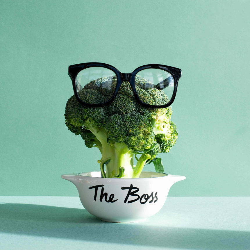 CIOTOLA THE BOSS