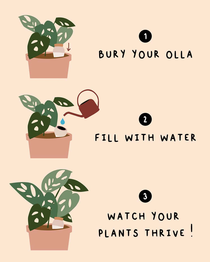 OLLA AUTOIRRIGANTE VERDE