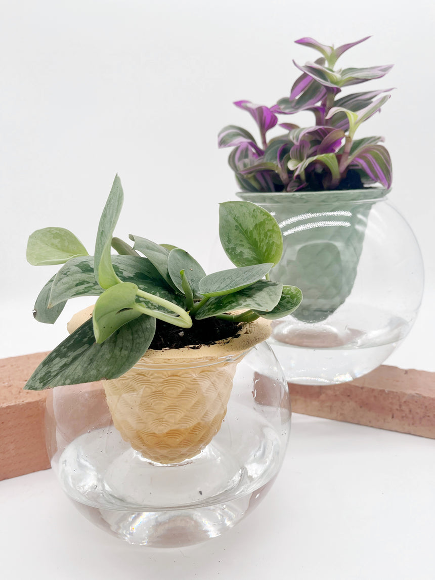 VASO AUTOINNAFFIANTE PIANO B