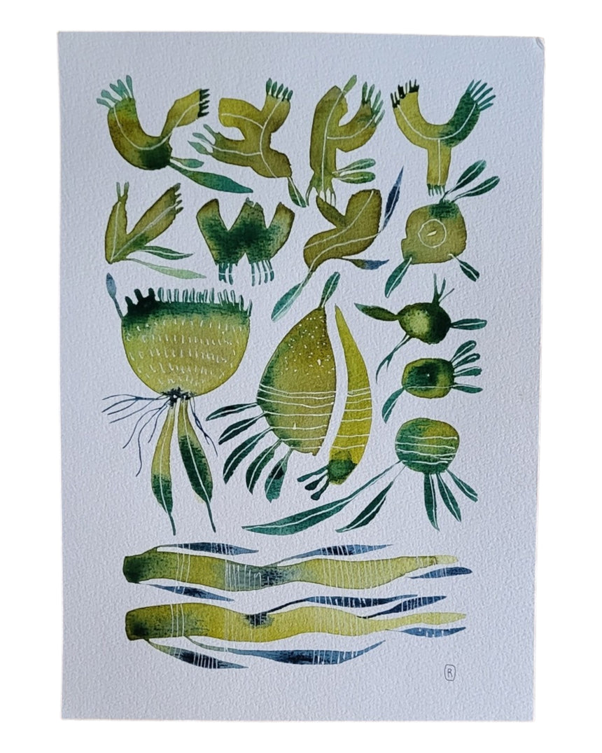 ACQUERELLI ORIGINALI SERIE BOTANICA A4