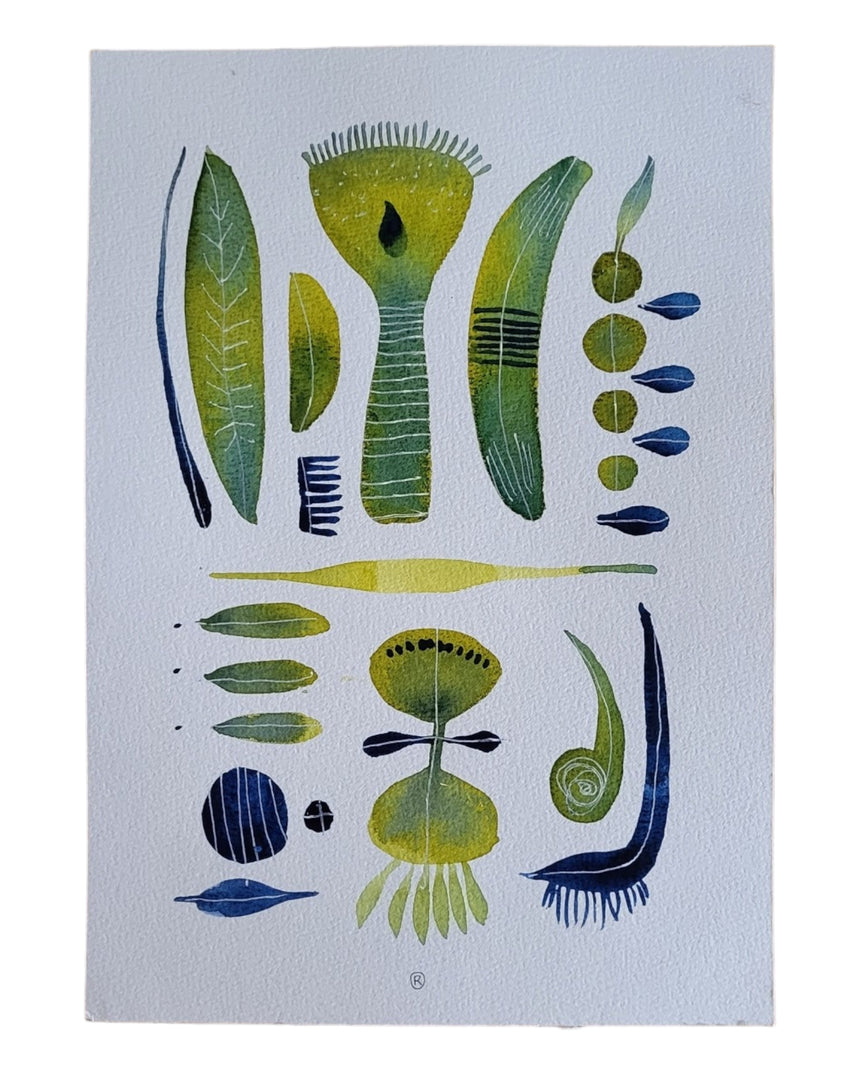 ACQUERELLI ORIGINALI SERIE BOTANICA A4
