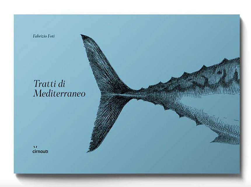 TRATTI DI MEDITERRANEO