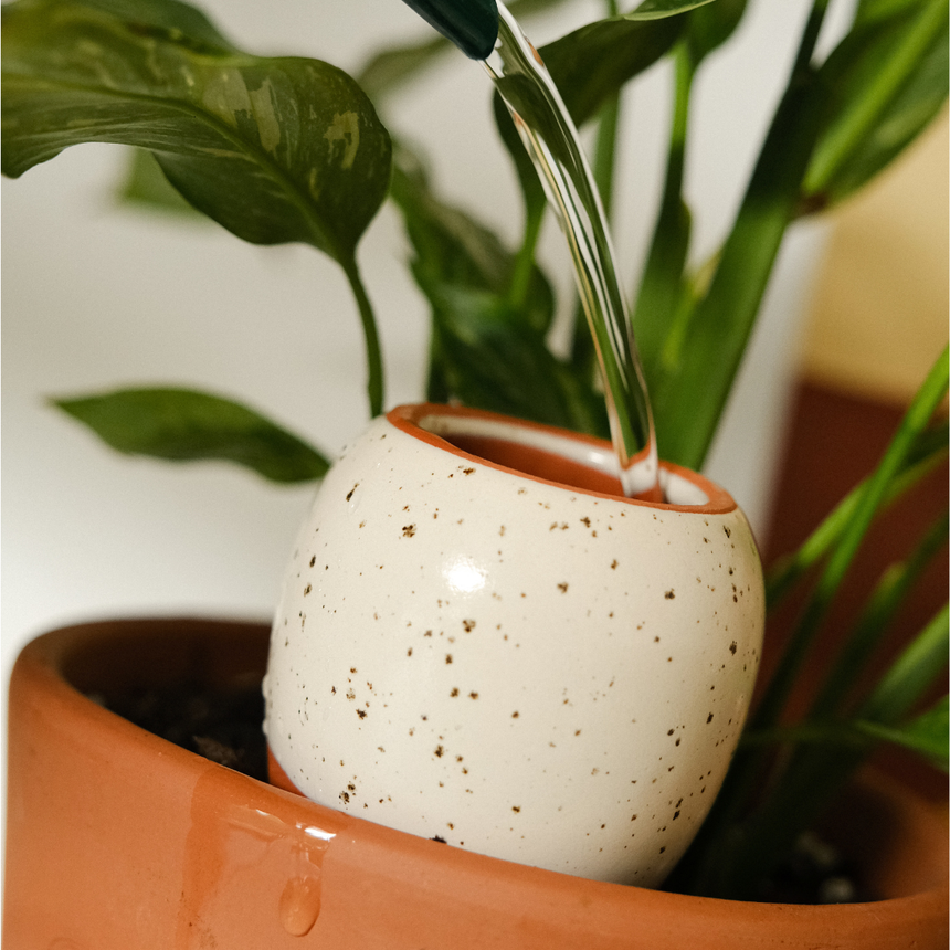 TRIO MINI OLLAS