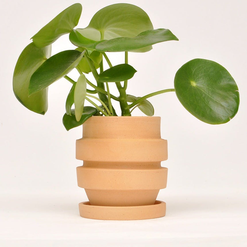 VASO TERRACOTTA B