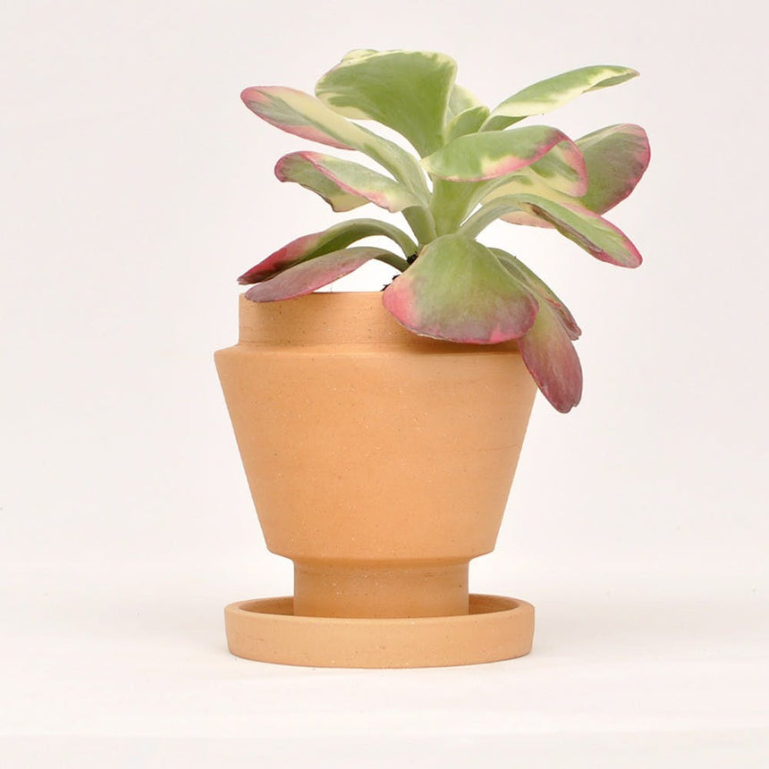 VASO TERRACOTTA C