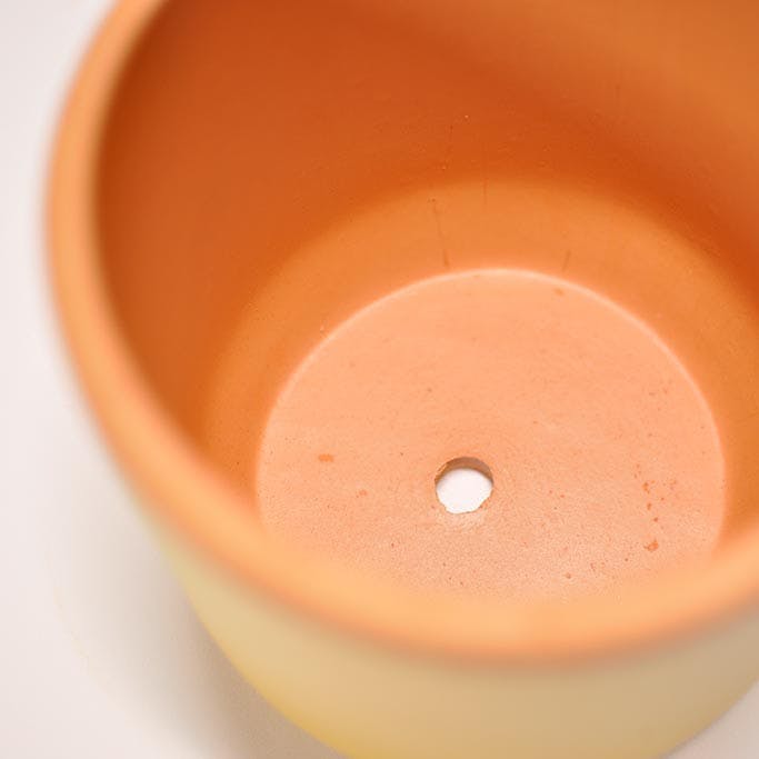 VASO TERRACOTTA E QUADRETTI BLU