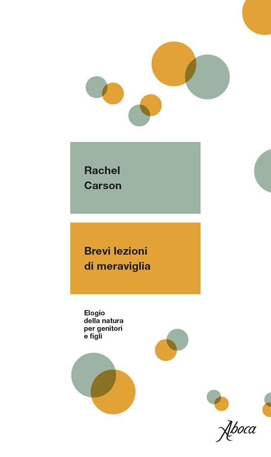 BREVI LEZIONI DI MERAVIGLIA