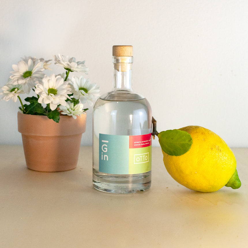 oTTo DRY GIN