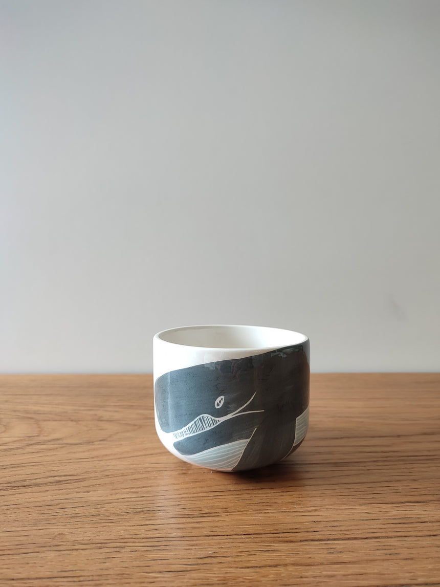 TAZZA MOOG