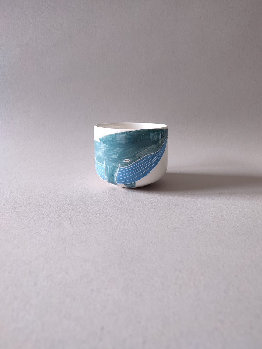 TAZZA MOOG