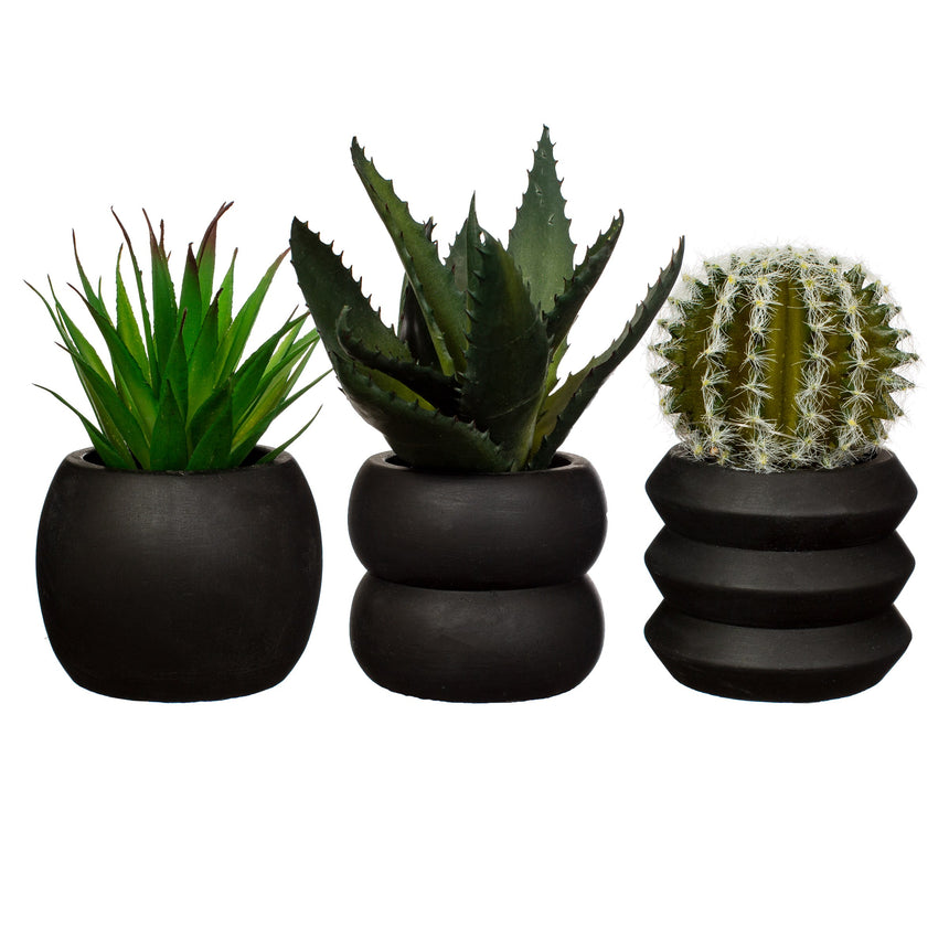 SET VASI TOTEM