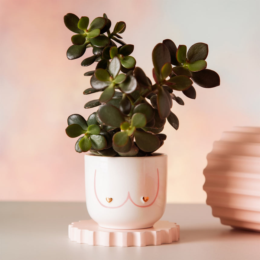 VASO BOOB | MINI