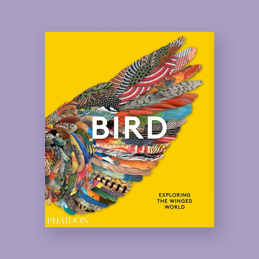 BIRD. EDIZ. ILLUSTRATA