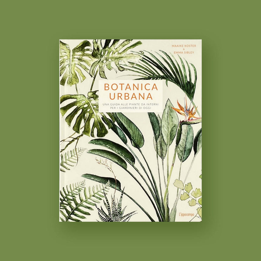 BOTANICA URBANA | UNA GUIDA ALLE PIANTE DA INTERNI PER I GIARDINIERI DI OGGI