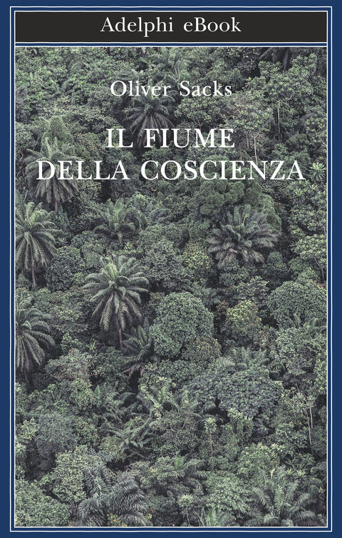IL FIUME DELLA COSCIENZA