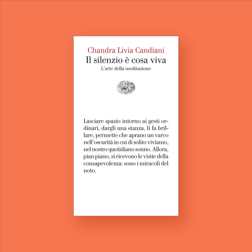 IL SILENZIO E' COSA VIVA | L'ARTE DELLA MEDITAZIONE