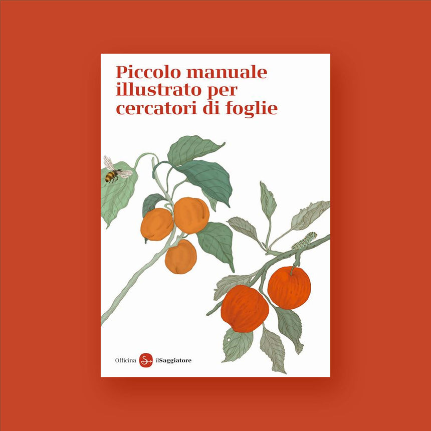 PICCOLO MANUALE ILLUSTRATO PER CERCATORI DI FOGLIE. ED. A COLORI