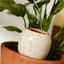 TRIO MINI OLLAS
