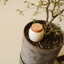TRIO MINI OLLAS