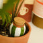 OLLA STRISCE VERDE/BIANCO