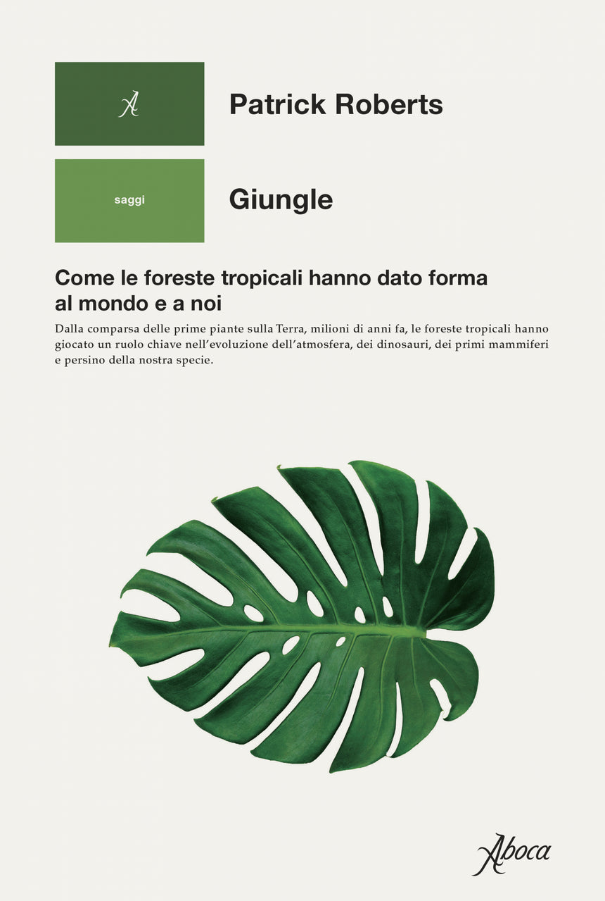 GIUNGLE | COME LE FORESTE TROPICALI HANNO DATO FORMA AL MONDO E A NOI
