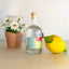 oTTo DRY GIN