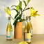 oTTo VINO BIANCO