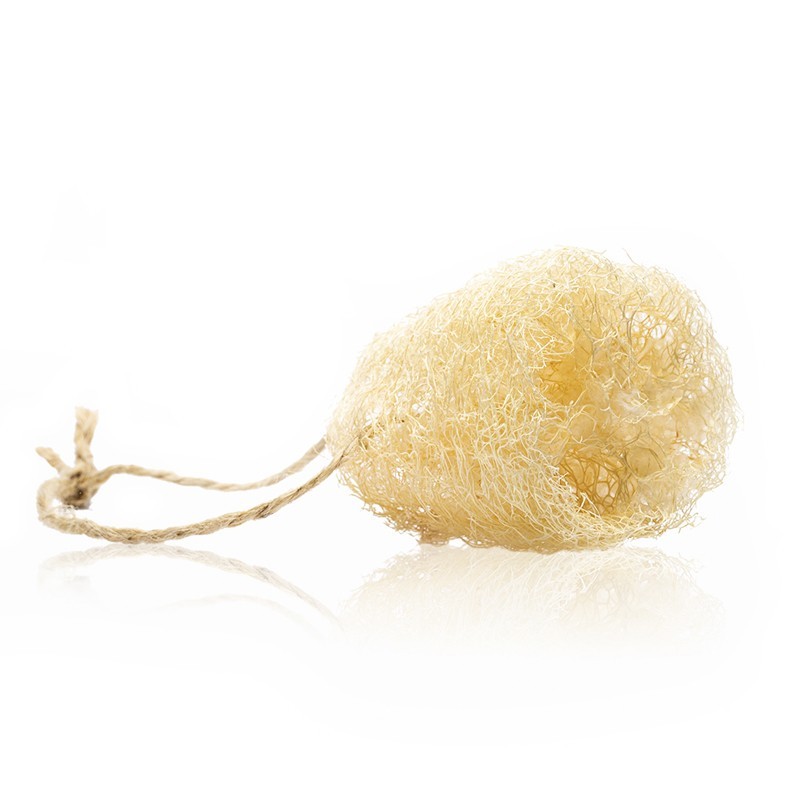 SPUGNA IN LUFFA