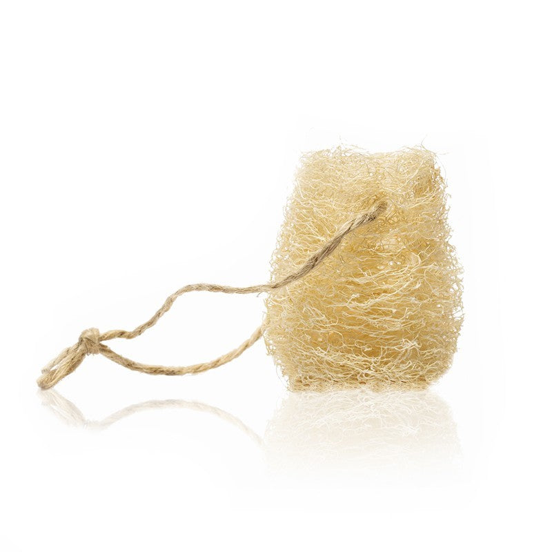 SPUGNA IN LUFFA